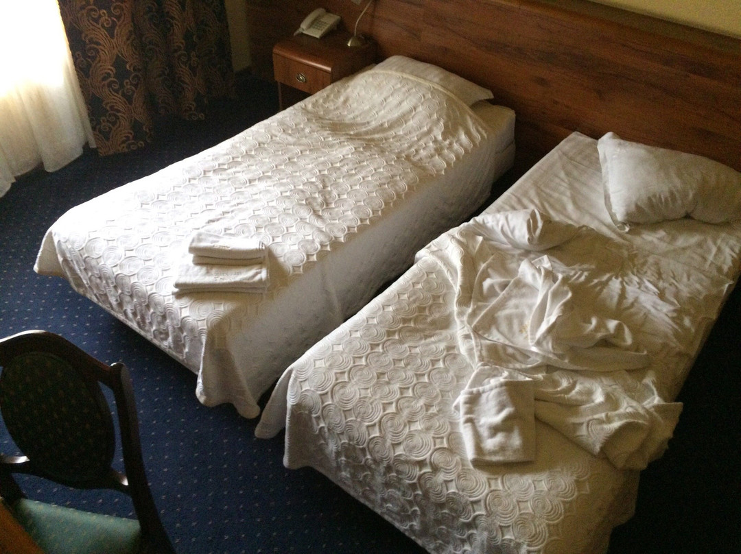 Hotel Marysin Dwor