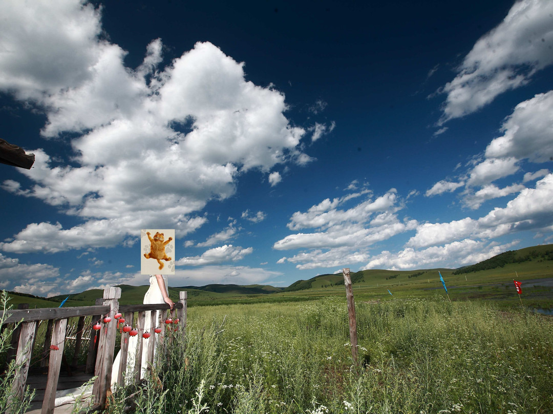 坝上红山军马场