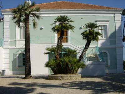 Villa Arlini