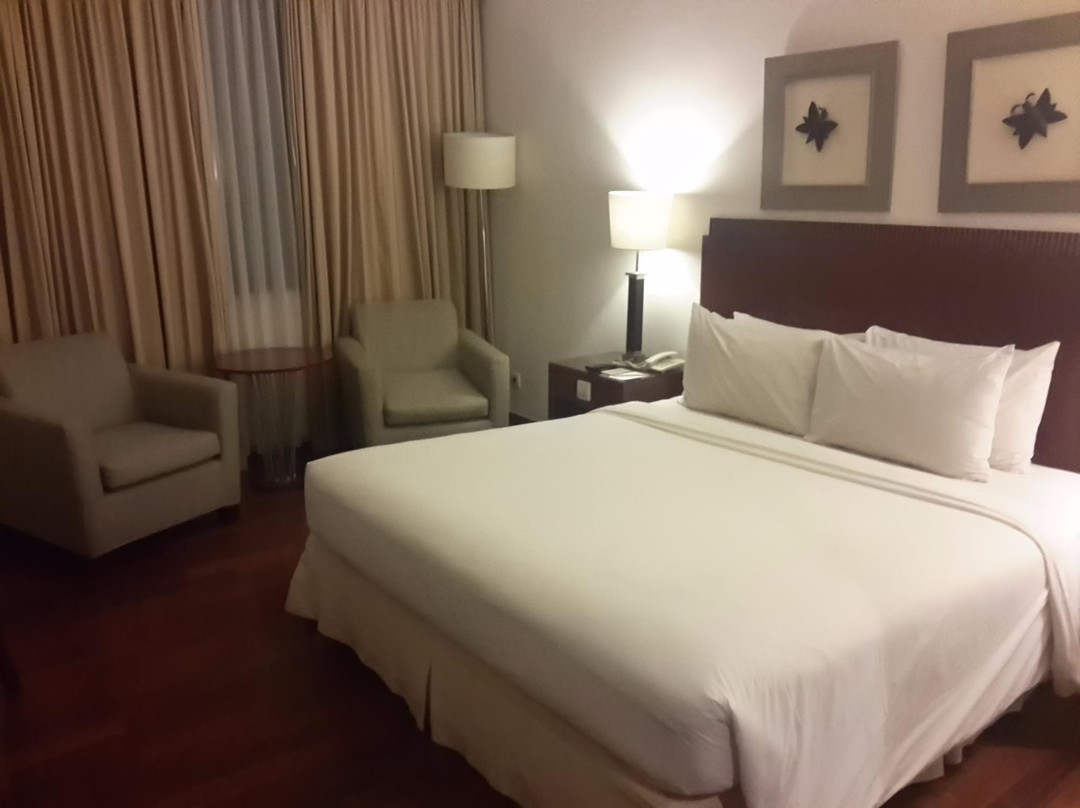 坤甸酒店住宿-三缇卡彭堤安那克酒店