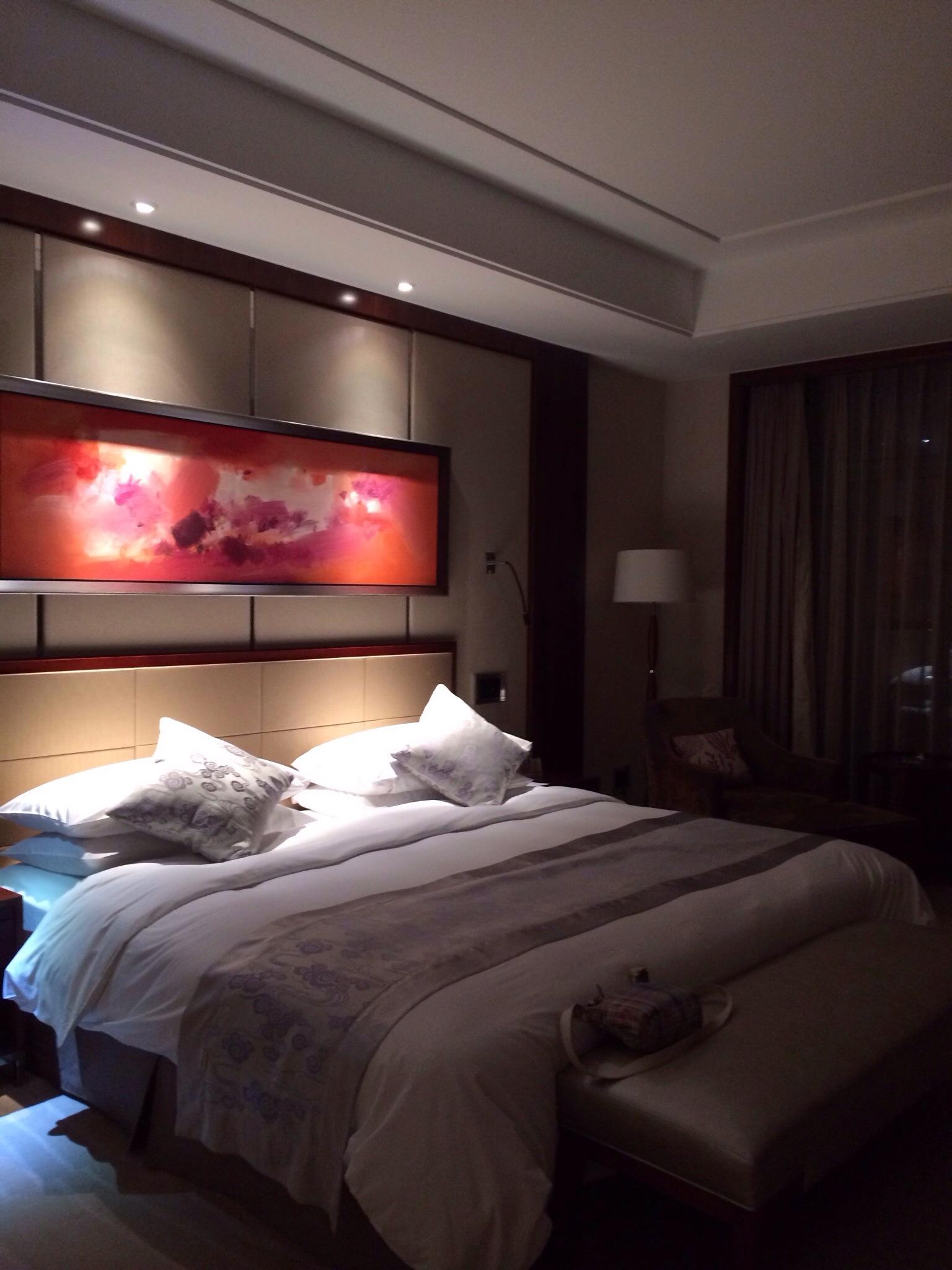 禄漪园国际大酒店-客卧