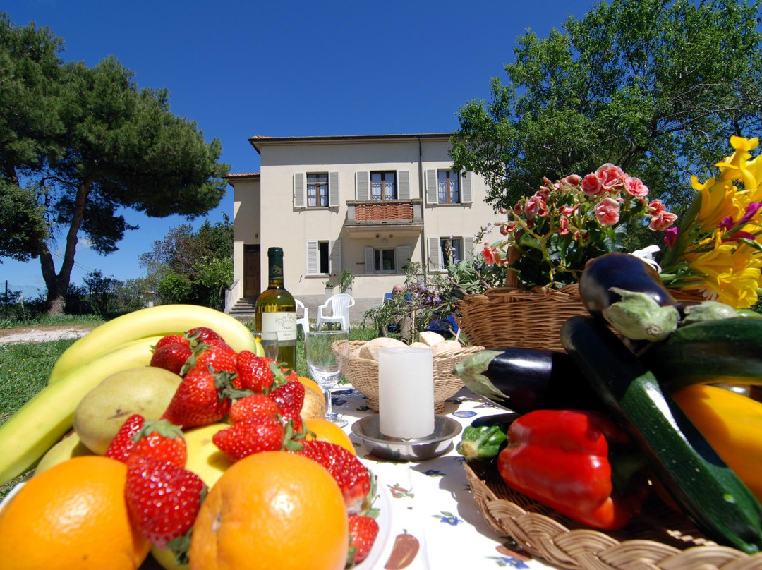 Agriturismo Il Cardinale
