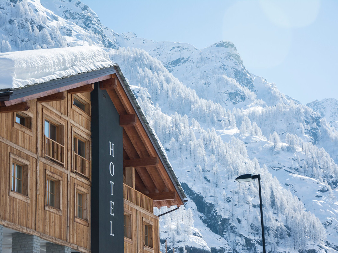 Gressoney-la-Trinité酒店住宿-Hotel Dufour