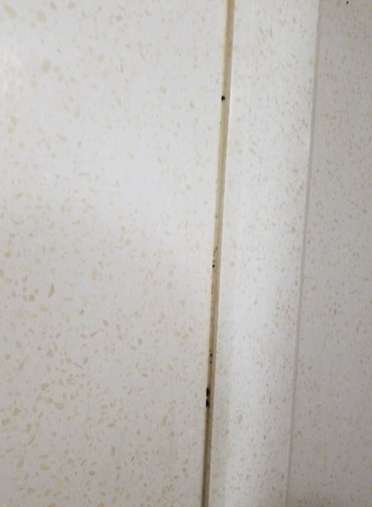 Holiday Inn Express & Suites North Fremont By IHG主图