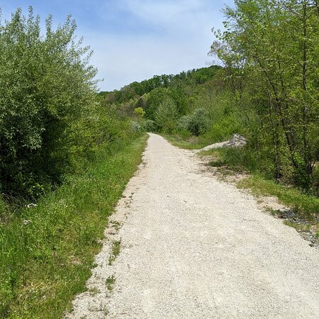 Dawkins Line Rail Trail-Swamp Branch必去景点