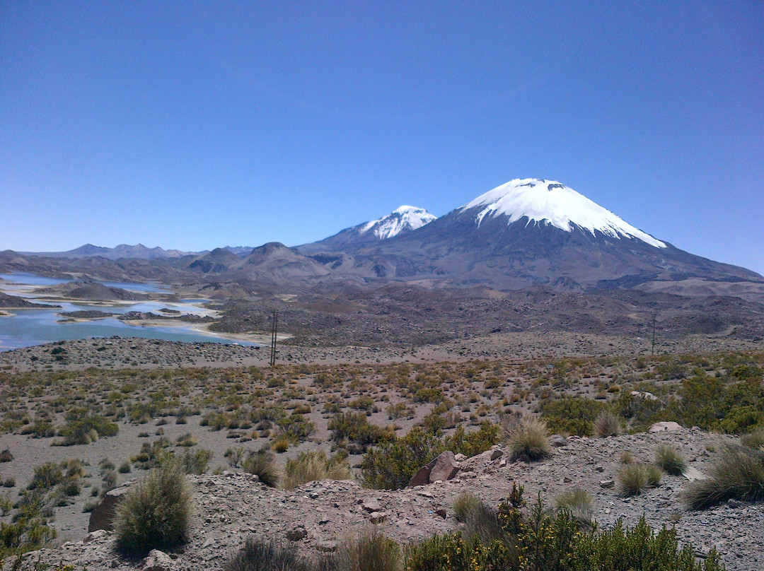 Parinacota Volcano景点图片