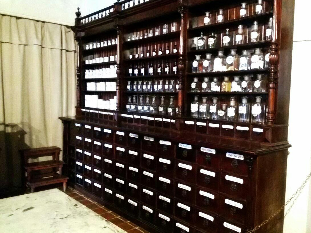 Museum of History of Lithuanian Medicine and Pharmacy景点图片