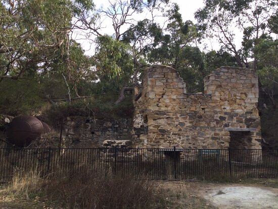 Talisker Conservation Park景点图片