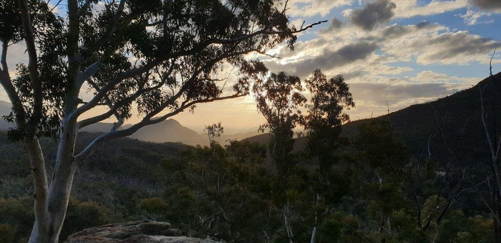 Whitegum Lookout景点图片