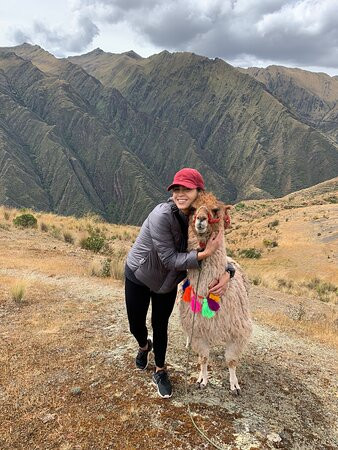 Alpaca Trek Adventures景点图片