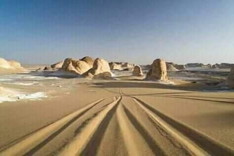 White Desert Nights景点图片