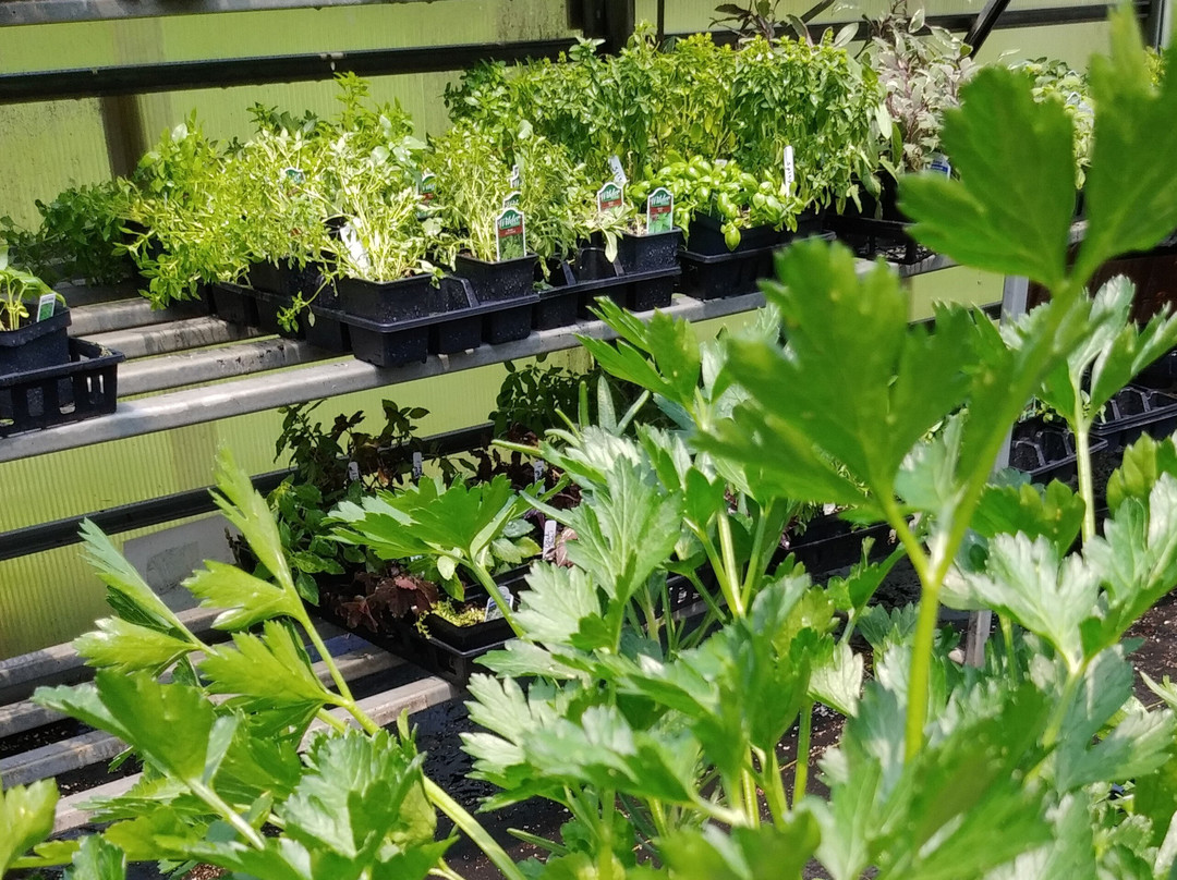 Edmondson's Farm & Nursery