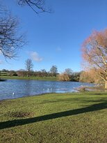 Verulamium Park景点图片