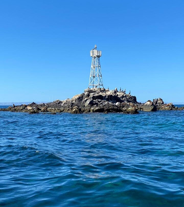 Baja Coras Tours-拉巴斯必去景点