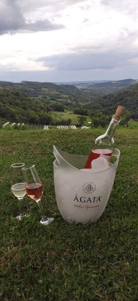 Vinícula Ametista-Ametista do Sul必去景点