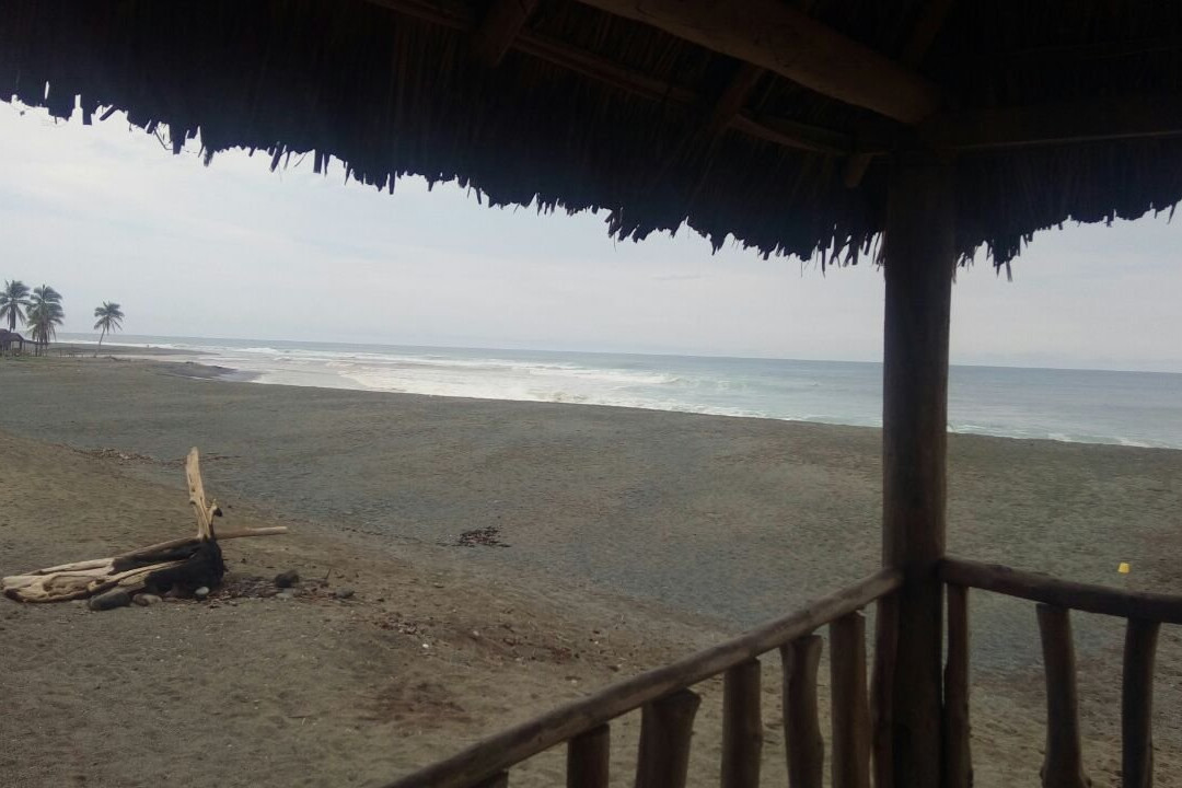 Nexpa Surf Cabanas Mar de Noche