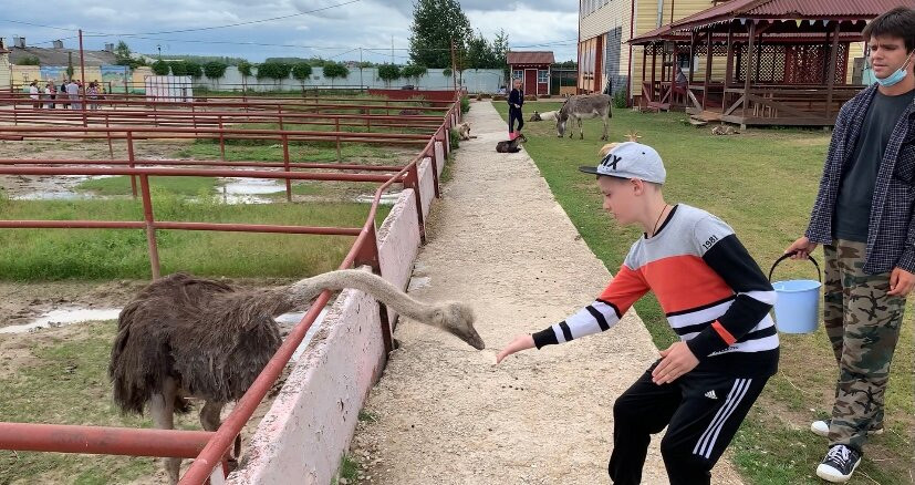 Ostrich Farm Russian Ostrich景点图片