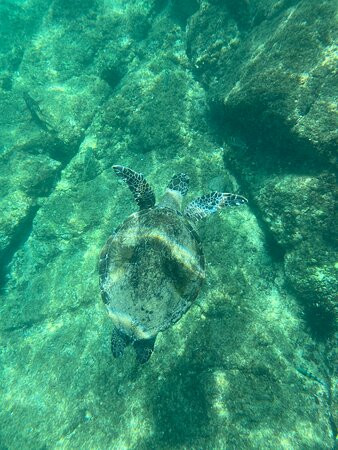 Snoopy Island-富查伊拉必去景点