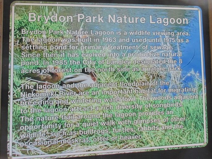 Brydon Lagoon景点图片