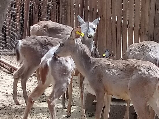 La Galera-El Fuerte必去景点