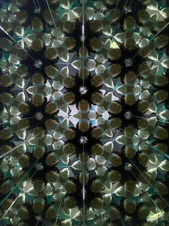 Museum of Illusions-第比利斯必去景点