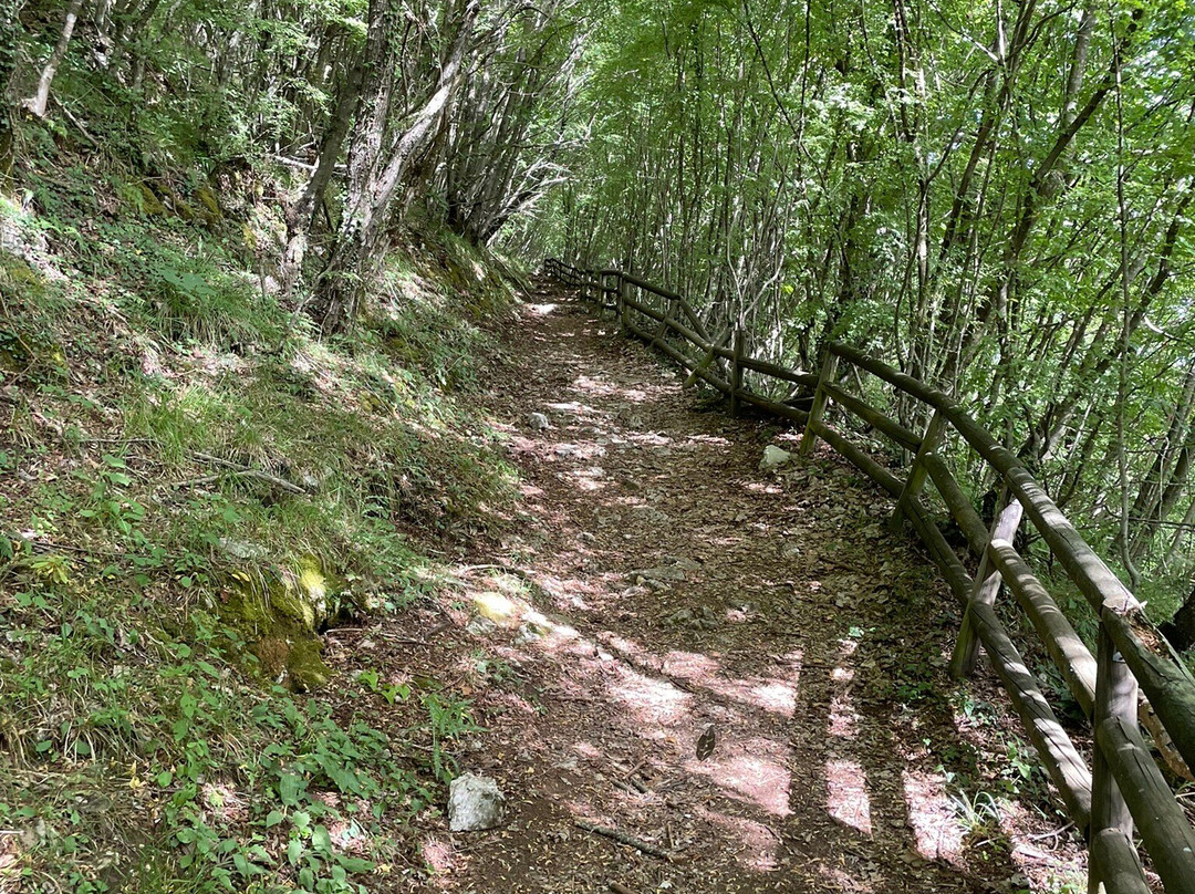 Grotta di San Michele-Liberi必去景点