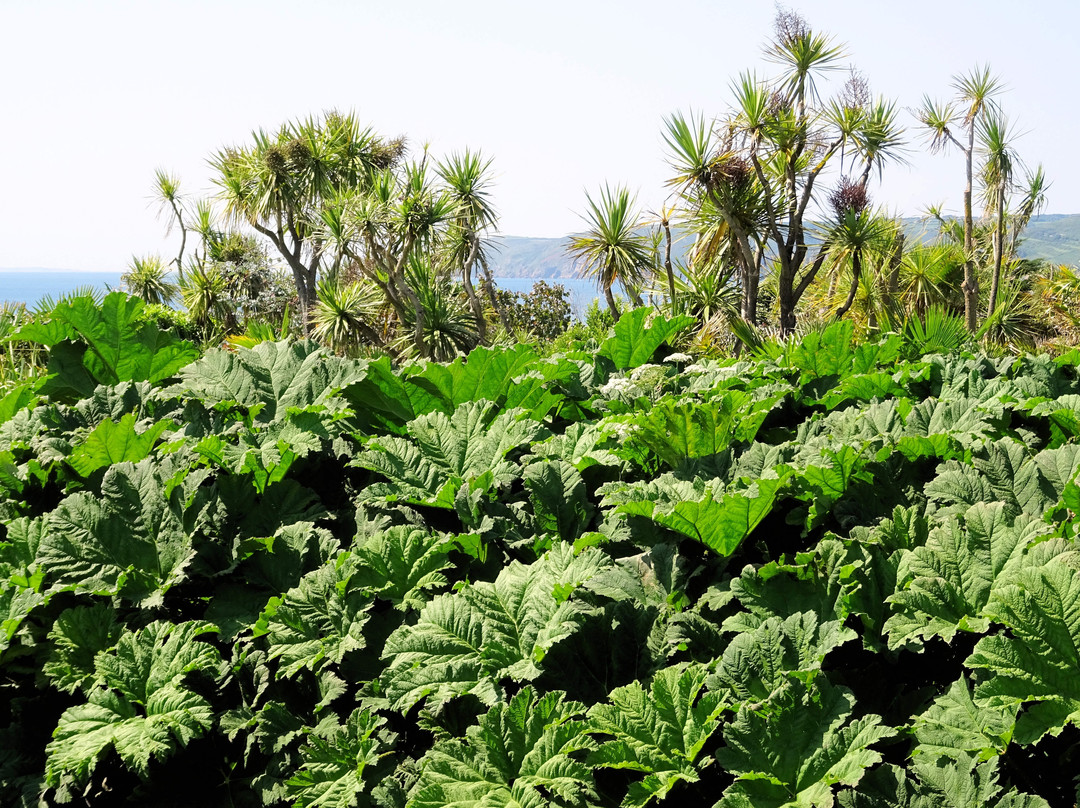 Jardin botanique de Vauville-Vauville必去景点