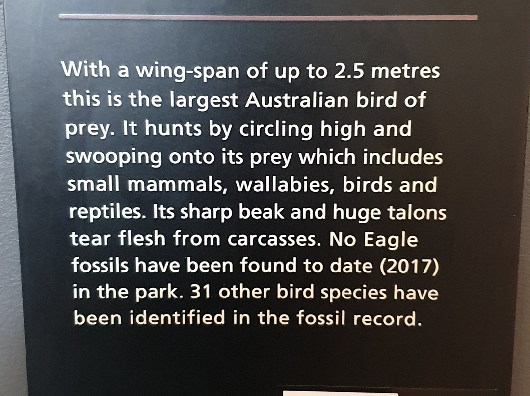 Naracoorte Visitor Information Centre-Naracoorte必去景点