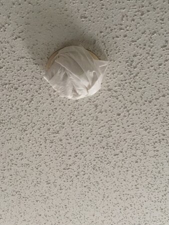 Beartooth Inn-客卧