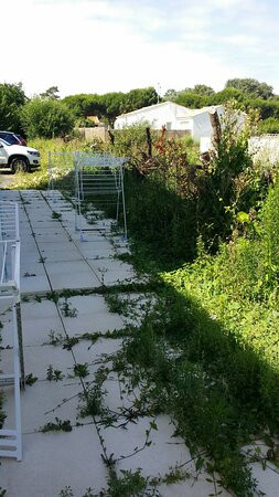 Hotel Residence Les Alizes主图