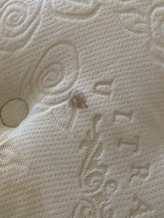 Pelagos Suites Hotel & Spa主图