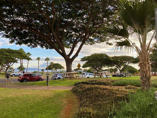 Maui Brewing Company景点图片