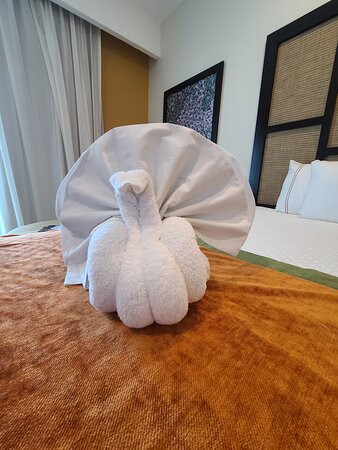 El Dorado Seaside Palms主图