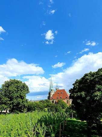 St. Severi Kirche-爱尔福特必去景点