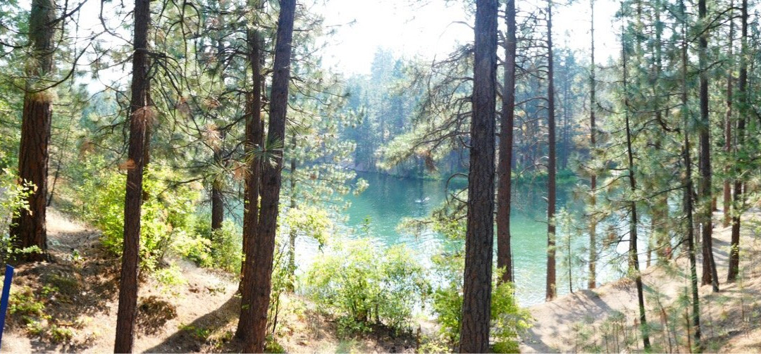 River Cove Elegant Waterfront B&B主图