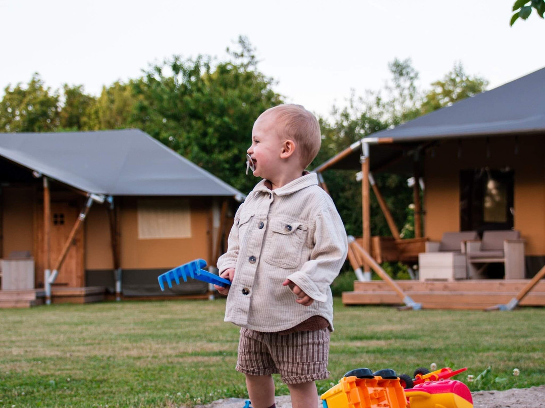 Glamping De Bosweide