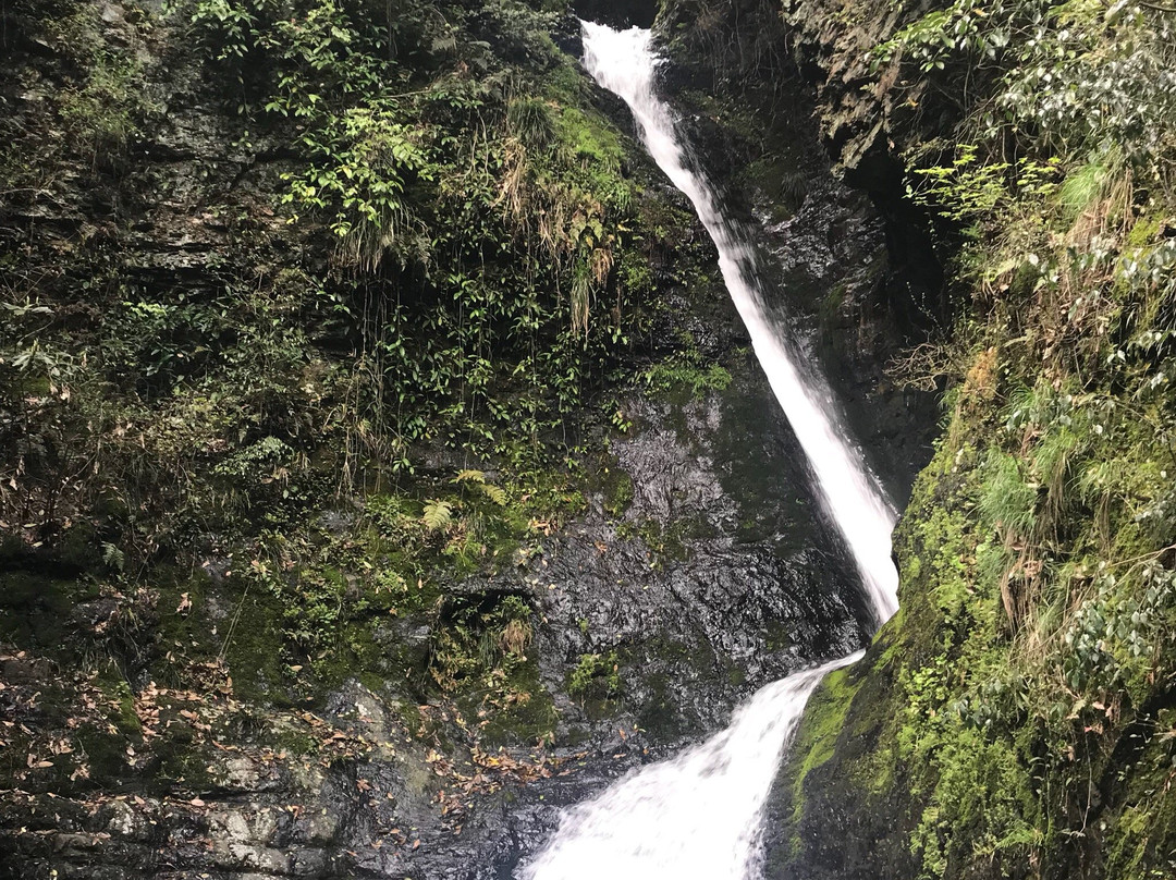 夏霖风景区景点图片