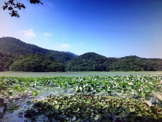 Oyama Kamiike Pond-鹤冈市必去景点
