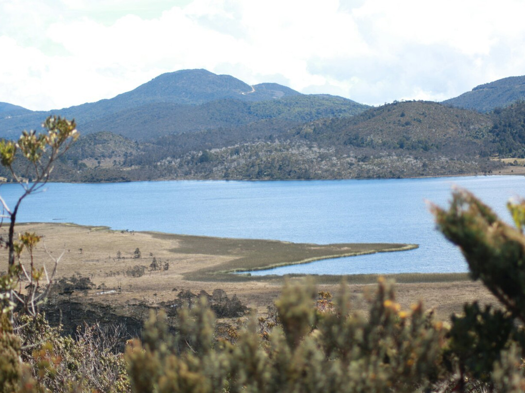 Lake Habbema景点图片
