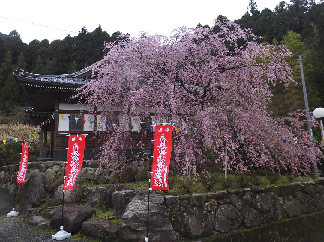 Myoryu-ji Temple景点图片