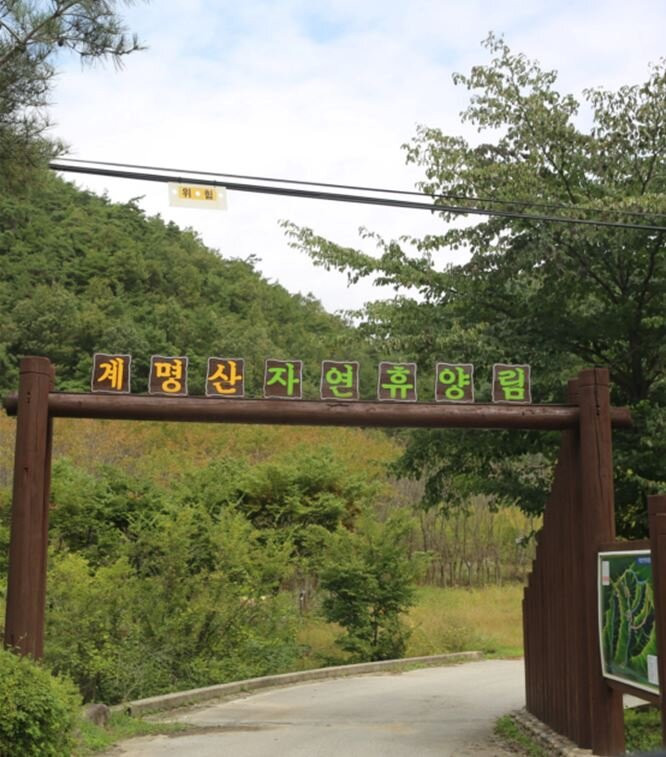 Gyemyungsan Nature Recreation Forest景点图片