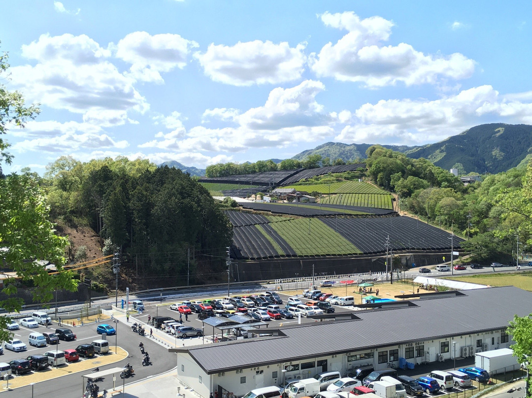 null-南山城村