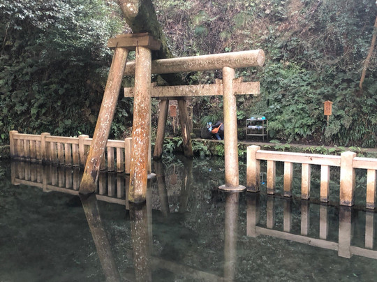 鹿岛市旅游攻略图片