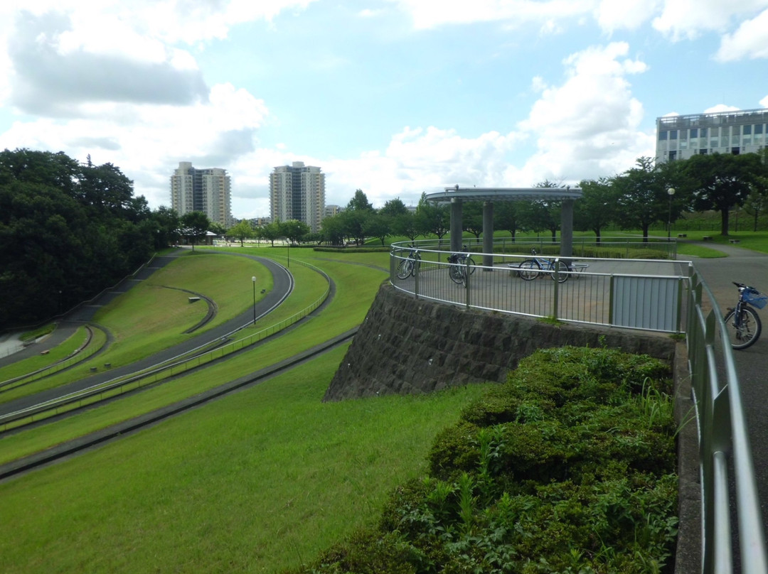Wakabadai Park-稻城市必去景点