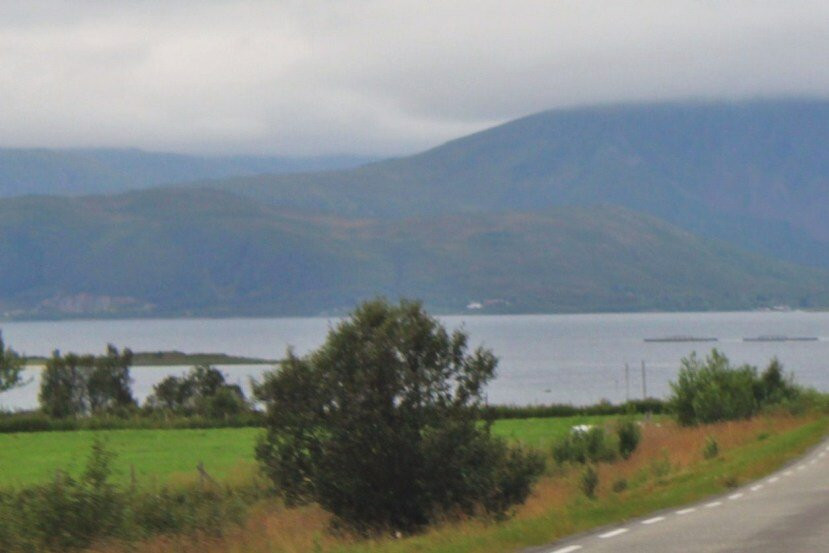 Forfjorden景点图片