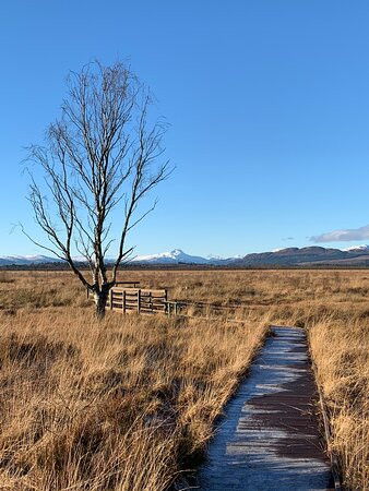 Flanders Moss National Nature Reserve景点图片