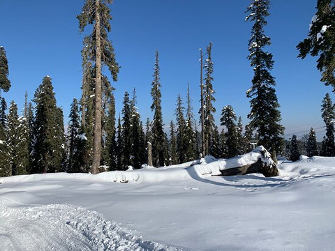 Online Holidays-斯利那加必去景点