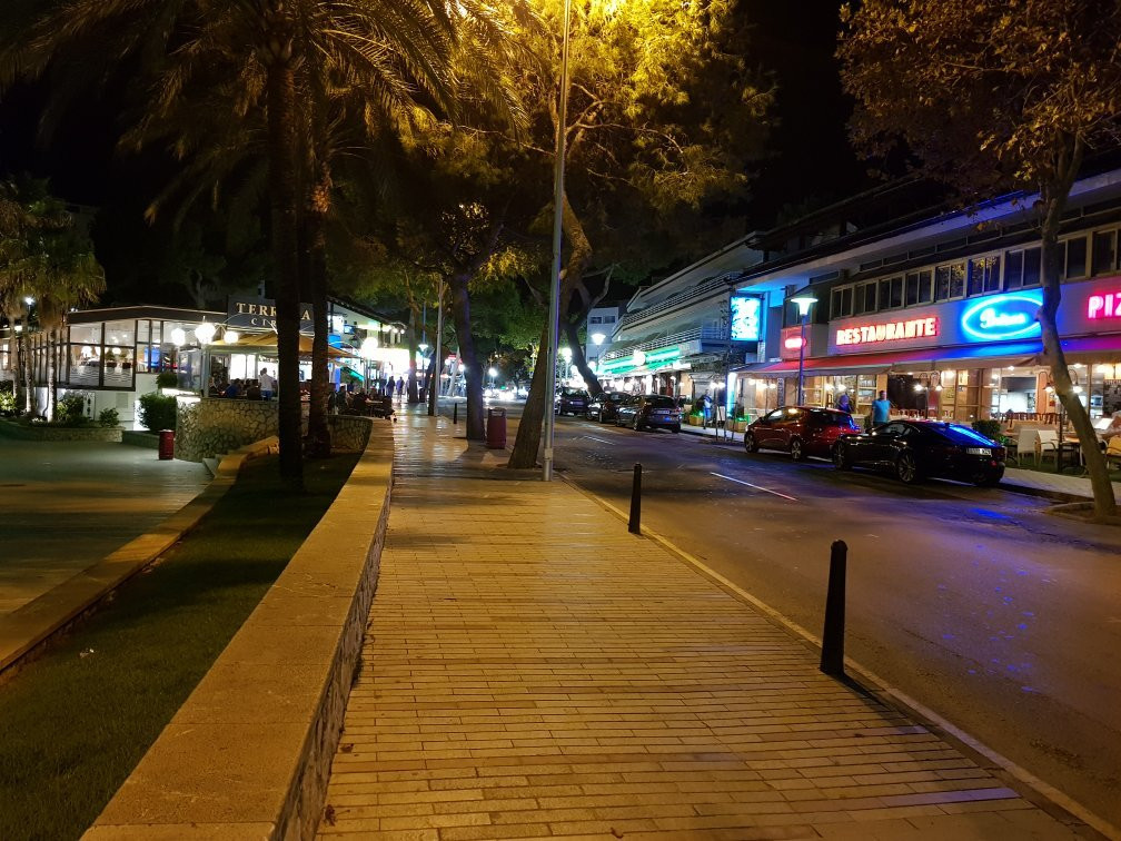 PalmaNova Resort主图