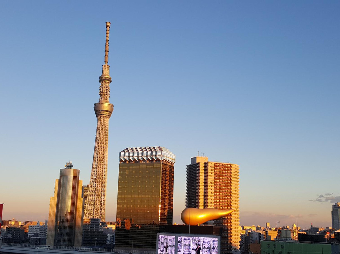 东京天空树景点图片