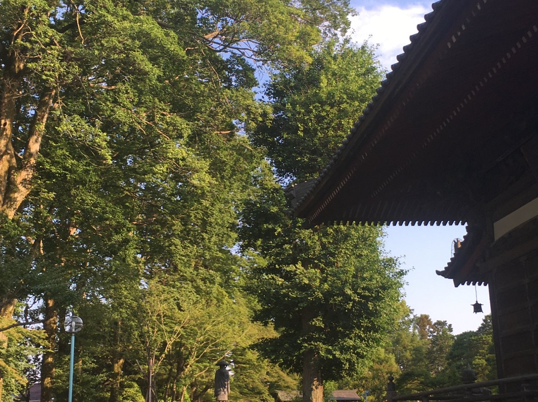 Rengein Temple-入间市必去景点